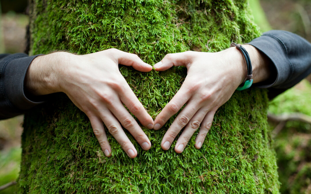Volver a la naturaleza para volver a uno mismo