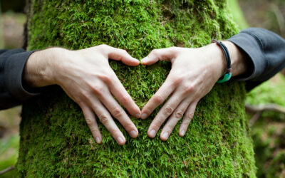 Volver a la naturaleza para volver a uno mismo